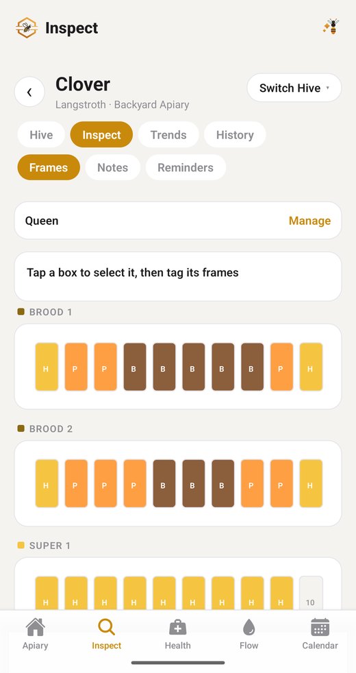 BeeSpace inspection screen