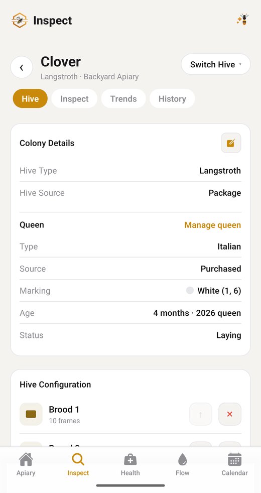 BeeSpace queen details screen
